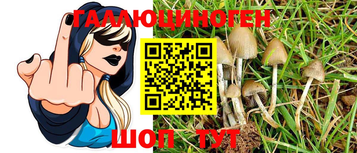 Галлюциногенные грибы прущие грибы  Псилоцибиновые грибы Magic Shrooms  Октябрьский  Вход с VPN 